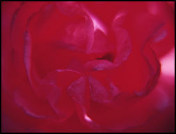rouge